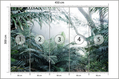 Fototapeta Las We Mgle Tropikalna Dżungla 450 × 300 cm – podgląd kadru