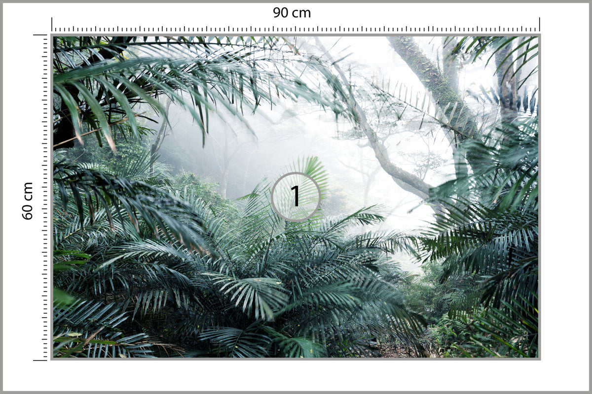 Fototapeta Las We Mgle Tropikalna Dżungla 90 × 60 cm – podgląd kadru