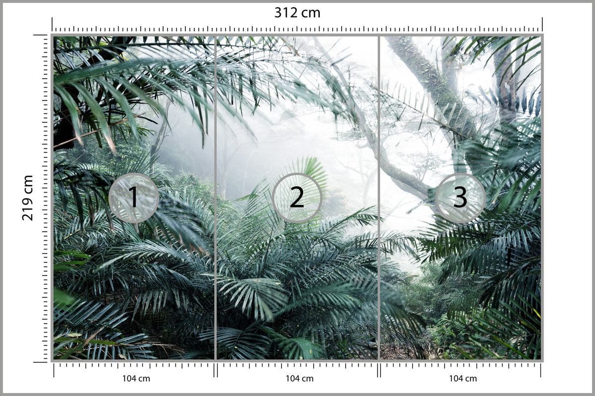 Fototapeta Las We Mgle Tropikalna Dżungla 312 × 219 cm – podgląd kadru