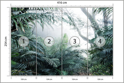 Fototapeta Las We Mgle Tropikalna Dżungla 416 × 254 cm – podgląd kadru