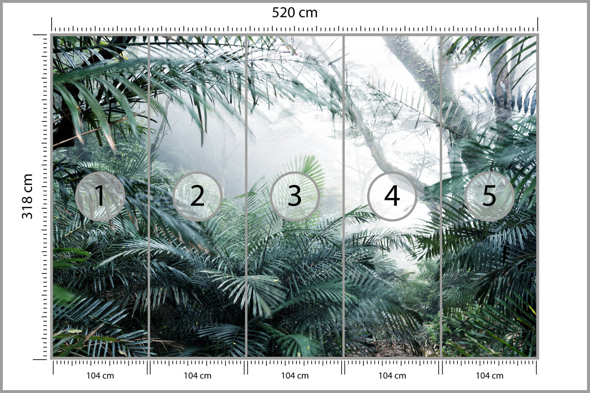 Fototapeta Las We Mgle Tropikalna Dżungla 520 × 318 cm – podgląd kadru