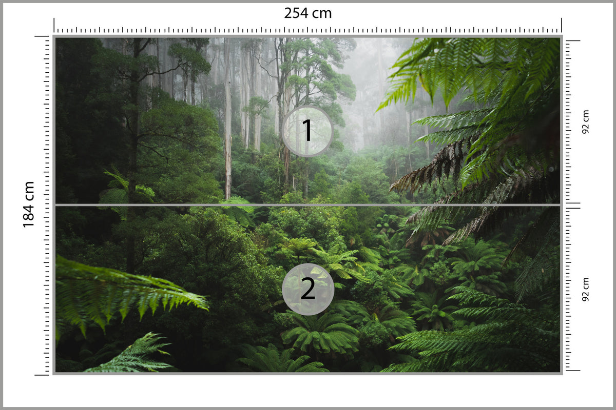 Fototapeta Las We Mgle Z Paprociami 254 × 184 cm – podgląd kadru
