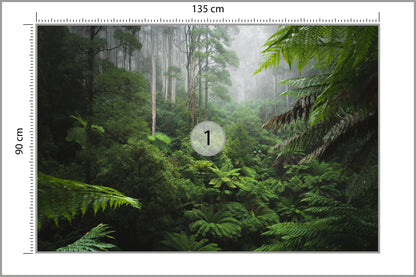 Fototapeta Las We Mgle Z Paprociami 135 × 90 cm – podgląd kadru