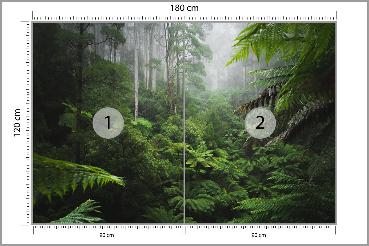 Fototapeta Las We Mgle Z Paprociami 180 × 120 cm – podgląd kadru