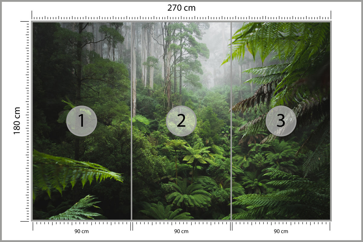 Fototapeta Las We Mgle Z Paprociami 270 × 180 cm – podgląd kadru