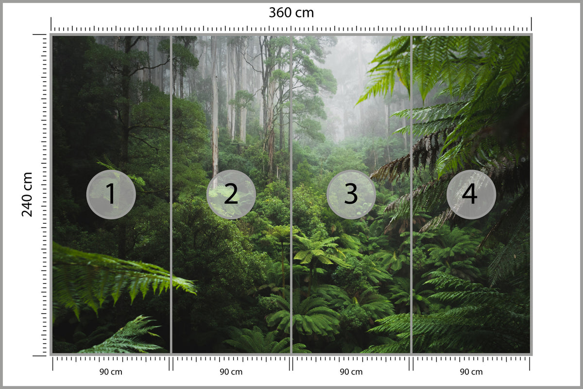 Fototapeta Las We Mgle Z Paprociami 360 × 240 cm – podgląd kadru