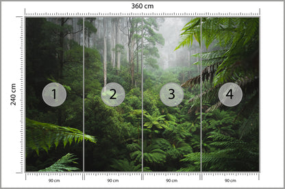 Fototapeta Las We Mgle Z Paprociami 360 × 240 cm – podgląd kadru