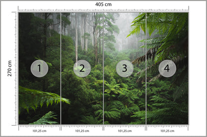 Fototapeta Las We Mgle Z Paprociami 405 × 270 cm – podgląd kadru