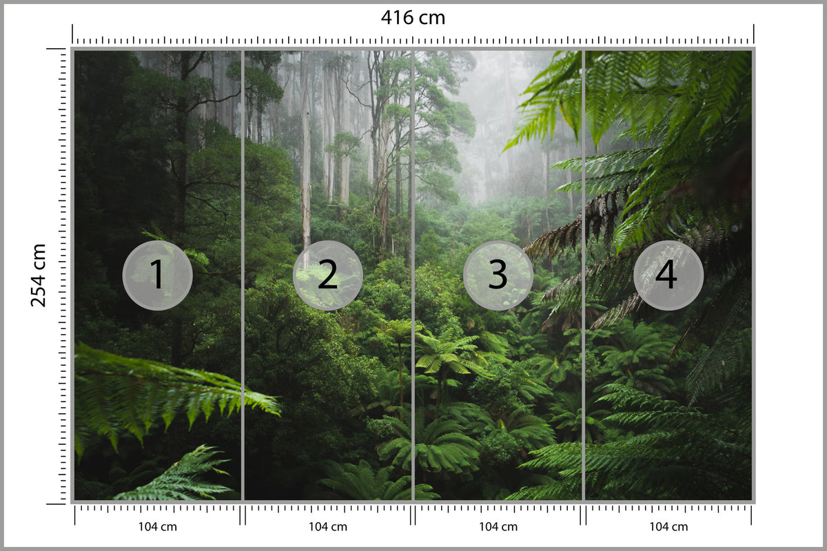 Fototapeta Las We Mgle Z Paprociami 416 × 254 cm – podgląd kadru