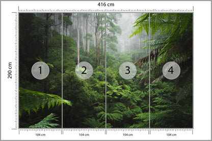 Fototapeta Las We Mgle Z Paprociami 416 × 290 cm – podgląd kadru