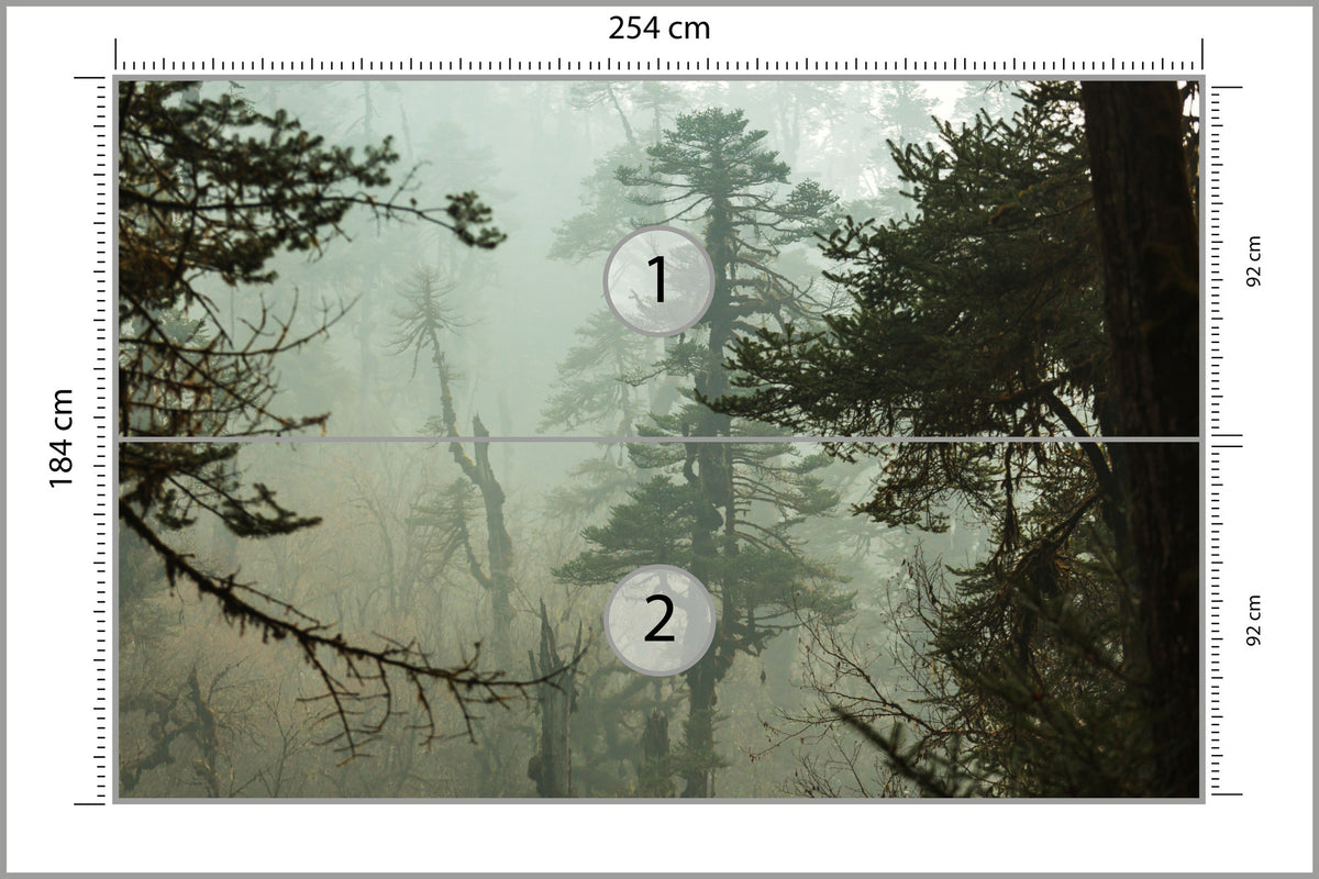 Fototapeta Las We Mgle Zielona Puszcza 254 × 184 cm – podgląd kadru