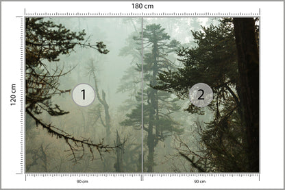 Fototapeta Las We Mgle Zielona Puszcza 180 × 120 cm – podgląd kadru