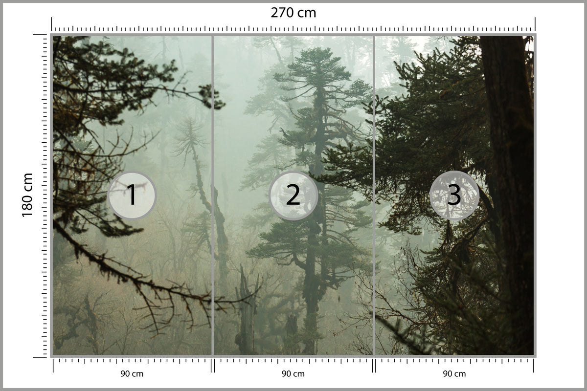 Fototapeta Las We Mgle Zielona Puszcza 270 × 180 cm – podgląd kadru