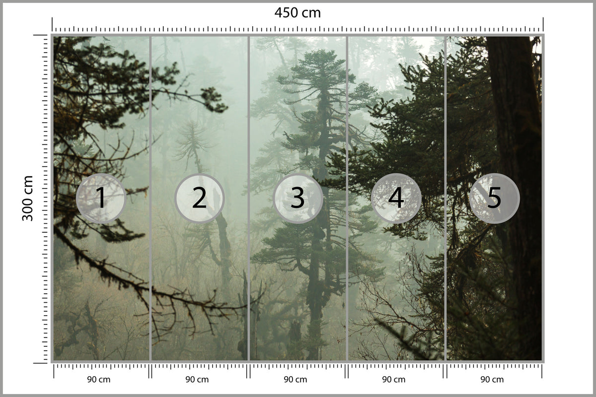 Fototapeta Las We Mgle Zielona Puszcza 450 × 300 cm – podgląd kadru