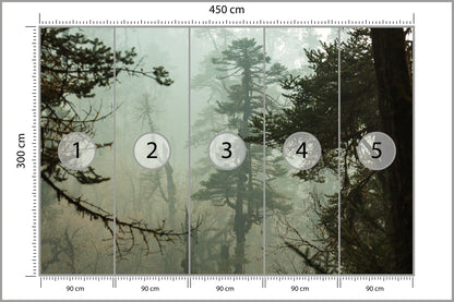 Fototapeta Las We Mgle Zielona Puszcza 450 × 300 cm – podgląd kadru