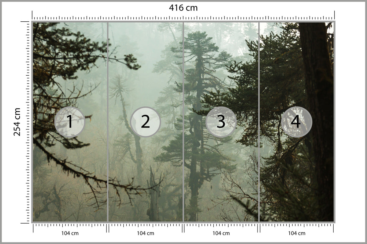 Fototapeta Las We Mgle Zielona Puszcza 416 × 254 cm – podgląd kadru
