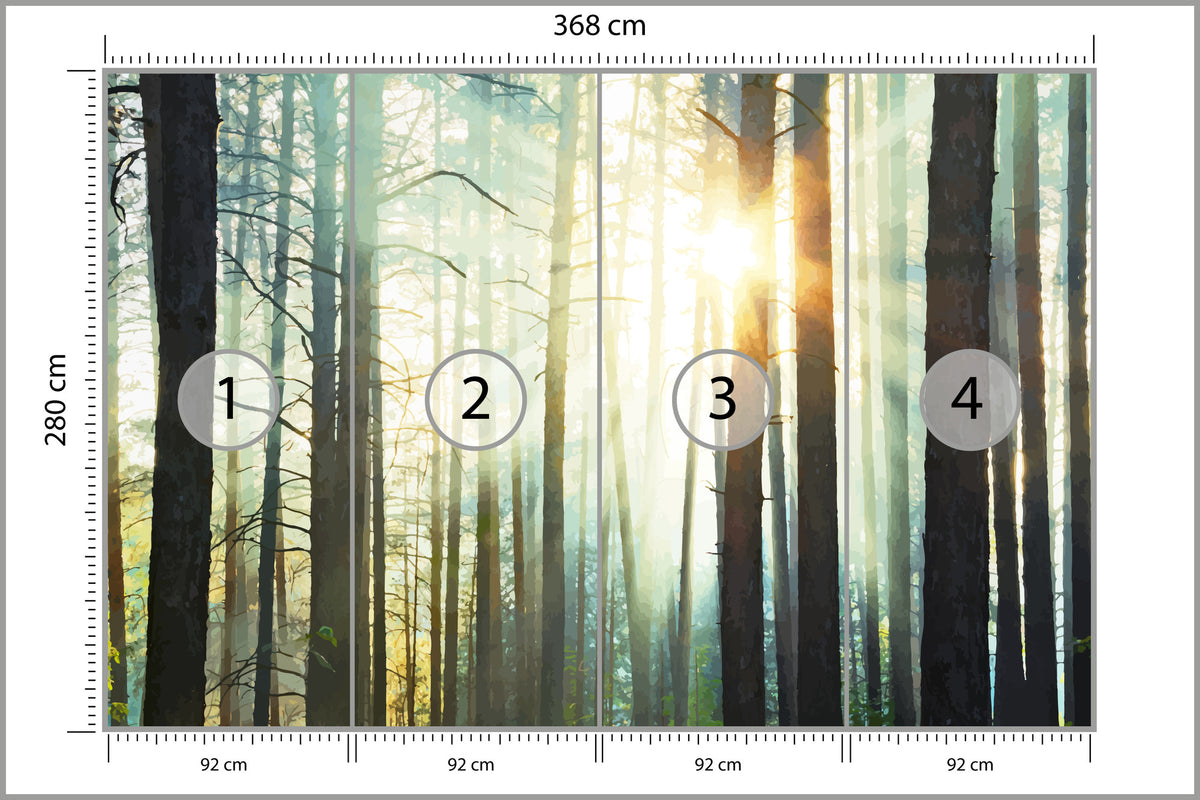 Fototapeta Las We Mgle Sosny Pod Słońce 368 × 280 cm – podgląd kadru