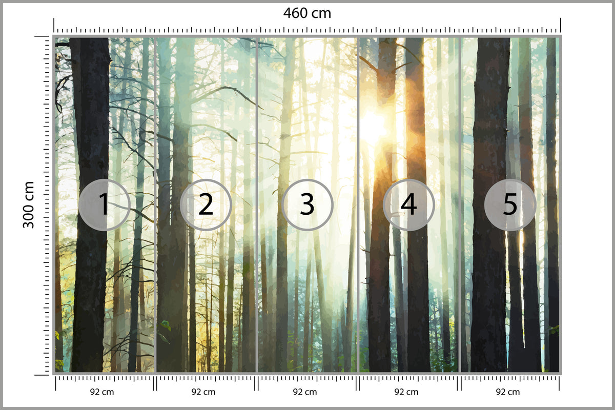 Fototapeta Las We Mgle Sosny Pod Słońce 460 × 300 cm – podgląd kadru