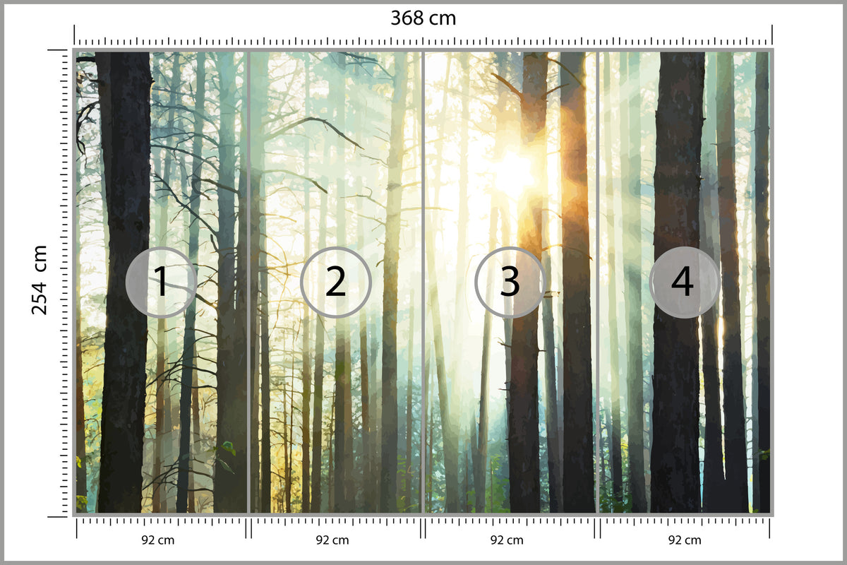 Fototapeta Las We Mgle Sosny Pod Słońce 368 × 254 cm – podgląd kadru