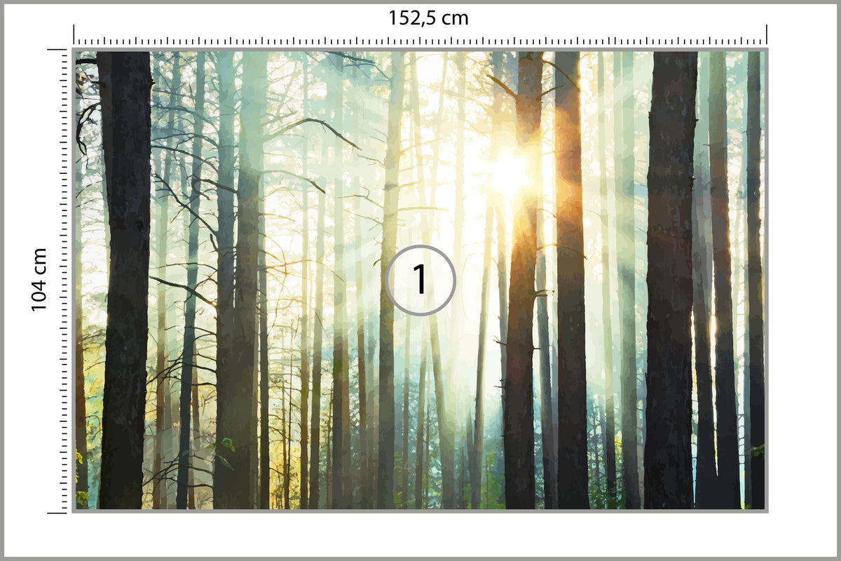 Fototapeta Las We Mgle Sosny Pod Słońce 152,5 × 104 cm – podgląd kadru