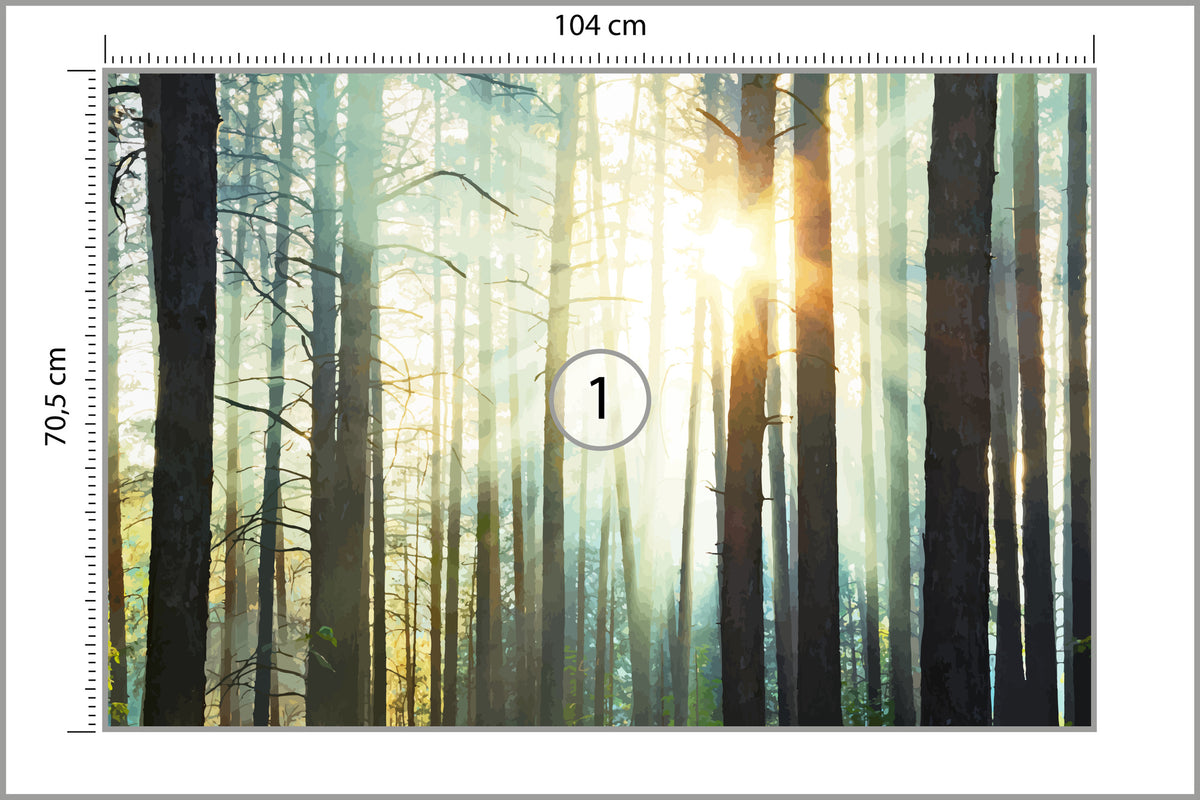 Fototapeta Las We Mgle Sosny Pod Słońce 104 × 70,5 cm – podgląd kadru