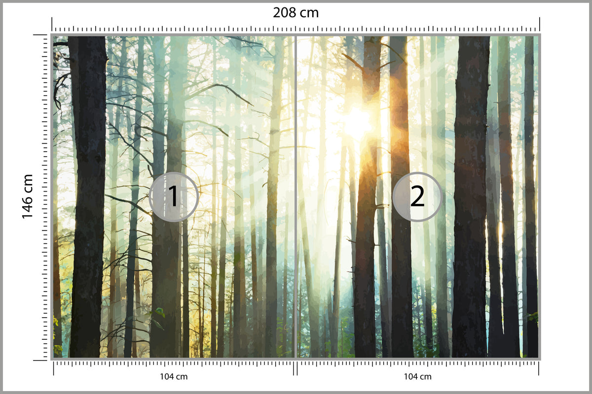 Fototapeta Las We Mgle Sosny Pod Słońce 208 × 146 cm – podgląd kadru