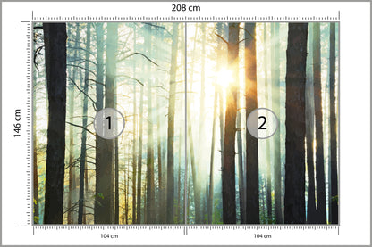 Fototapeta Las We Mgle Sosny Pod Słońce 208 × 146 cm – podgląd kadru