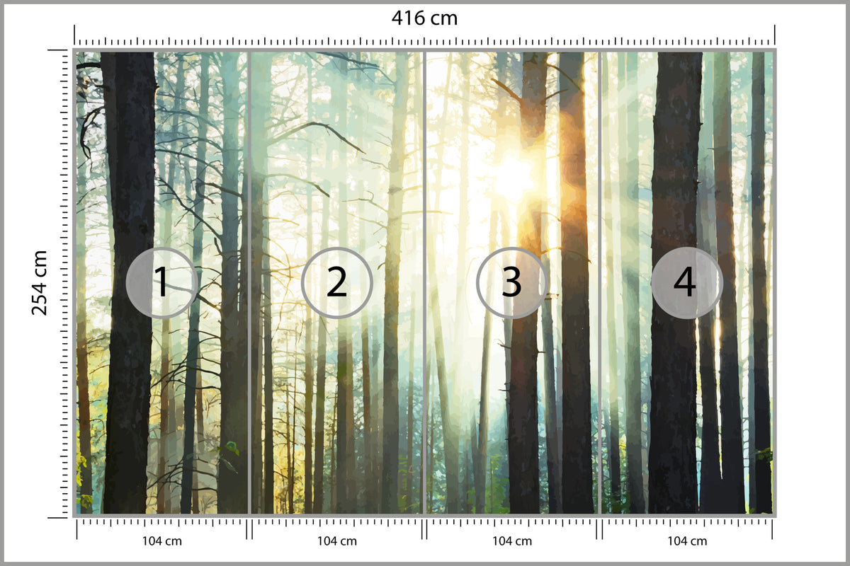 Fototapeta Las We Mgle Sosny Pod Słońce 416 × 254 cm – podgląd kadru