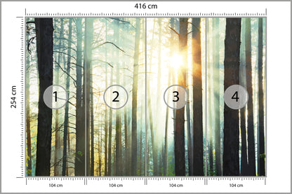 Fototapeta Las We Mgle Sosny Pod Słońce 416 × 254 cm – podgląd kadru