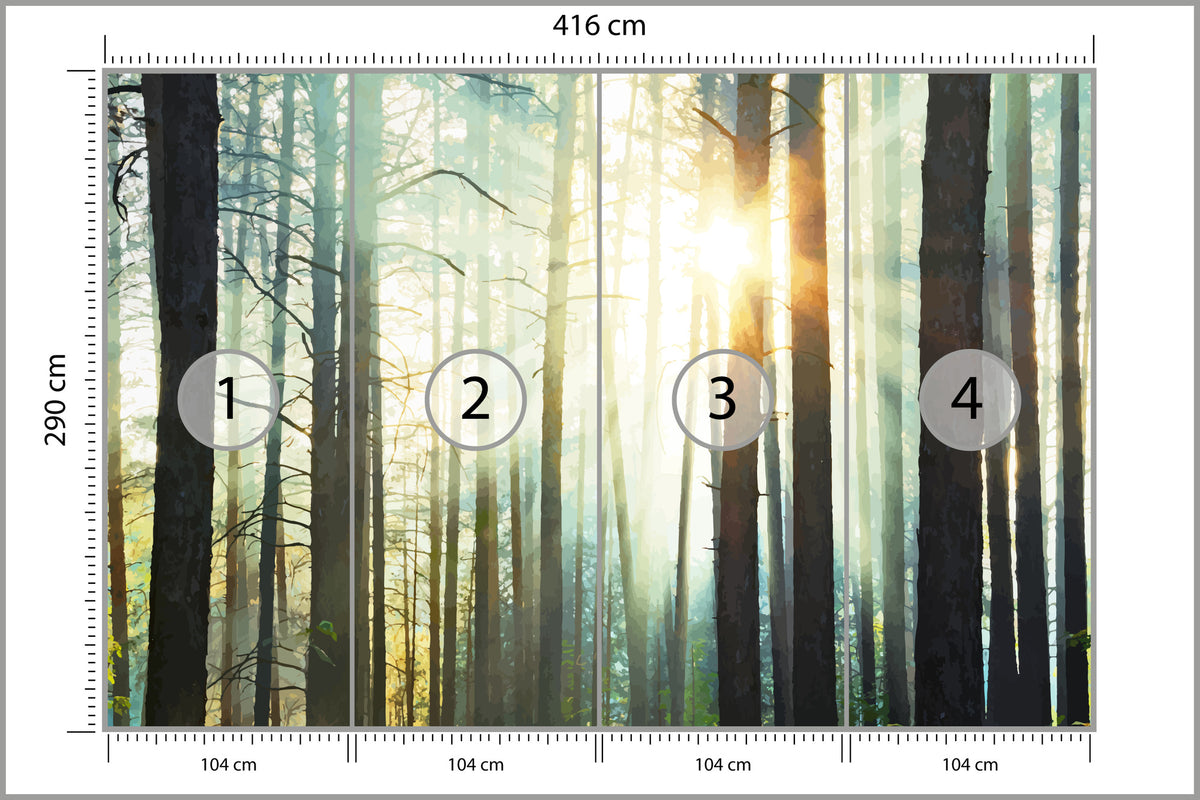 Fototapeta Las We Mgle Sosny Pod Słońce 416 × 290 cm – podgląd kadru