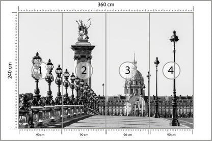 Fototapeta Paryż Czarno-Biały Most Aleksandra III 360 × 240 cm – podgląd kadru