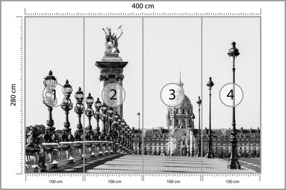 Fototapeta Paryż Czarno-Biały Most Aleksandra III 400 × 280 cm – podgląd kadru