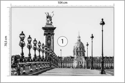 Fototapeta Paryż Czarno-Biały Most Aleksandra III 104 × 70,5 cm – podgląd kadru