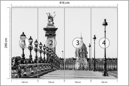 Fototapeta Paryż Czarno-Biały Most Aleksandra III 416 × 290 cm – podgląd kadru