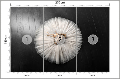 Fototapeta Buty Do Baletu Na Białej Tutu 270 × 180 cm – podgląd kadru