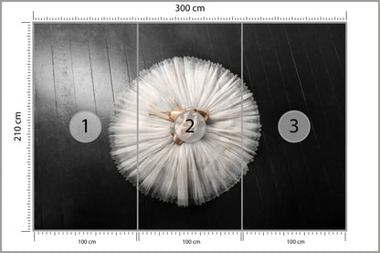 Fototapeta Buty Do Baletu Na Białej Tutu 300 × 210 cm – podgląd kadru