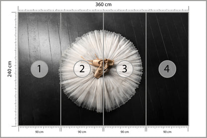 Fototapeta Buty Do Baletu Na Białej Tutu 360 × 240 cm – podgląd kadru