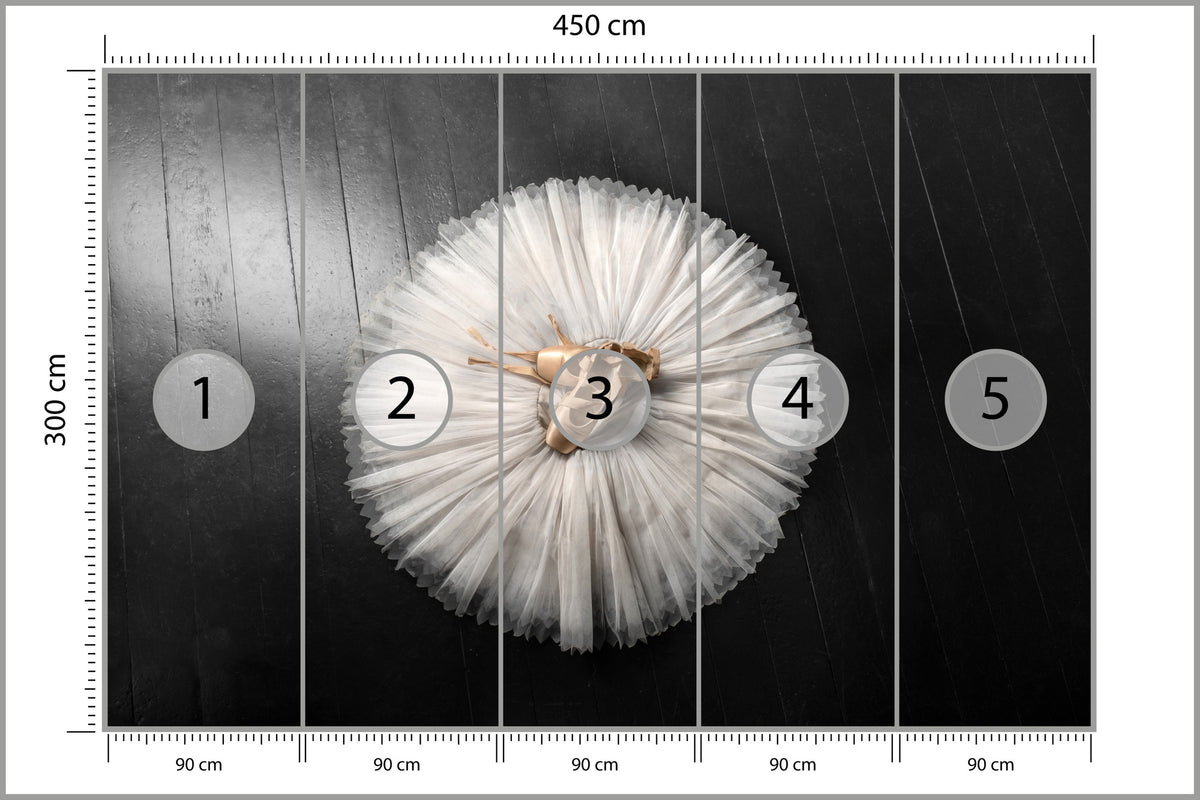 Fototapeta Buty Do Baletu Na Białej Tutu 450 × 300 cm – podgląd kadru