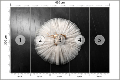 Fototapeta Buty Do Baletu Na Białej Tutu 450 × 300 cm – podgląd kadru