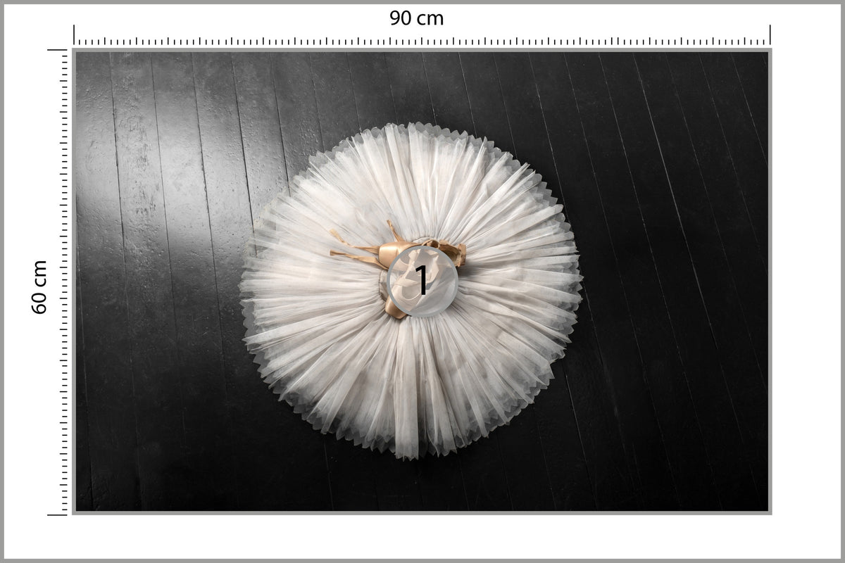 Fototapeta Buty Do Baletu Na Białej Tutu 90 × 60 cm – podgląd kadru