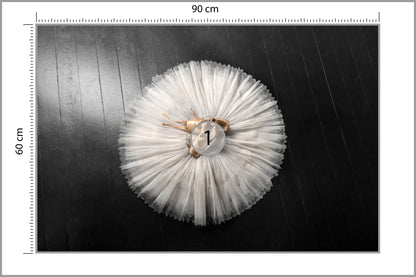 Fototapeta Buty Do Baletu Na Białej Tutu 90 × 60 cm – podgląd kadru