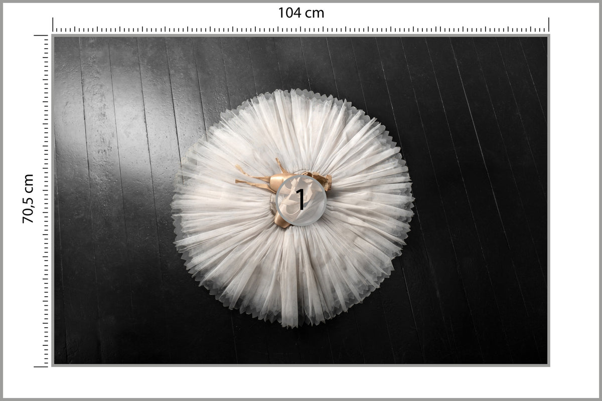 Fototapeta Buty Do Baletu Na Białej Tutu 104 × 70,5 cm – podgląd kadru