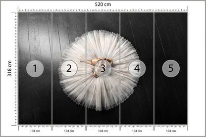 Fototapeta Buty Do Baletu Na Białej Tutu 520 × 318 cm – podgląd kadru