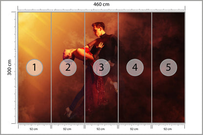 Fototapeta Para Tańcząca Tango 460 × 300 cm – podgląd kadru