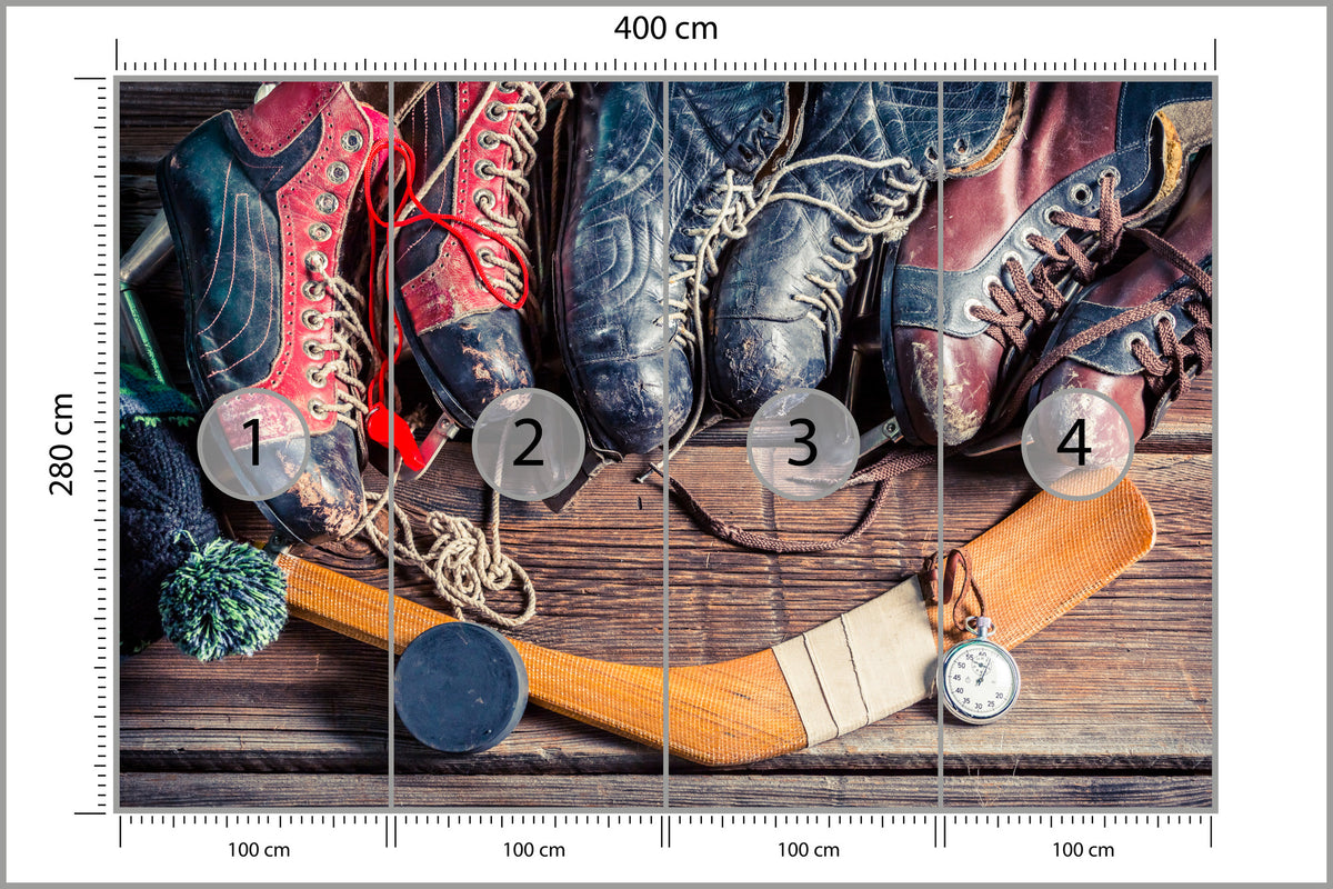Fototapeta Łyżwy Hokejowe 400 × 280 cm – podgląd kadru