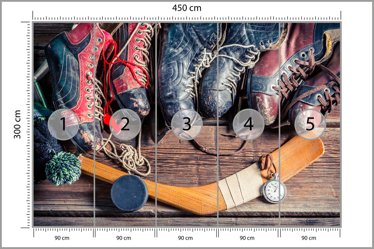 Fototapeta Łyżwy Hokejowe 450 × 300 cm – podgląd kadru