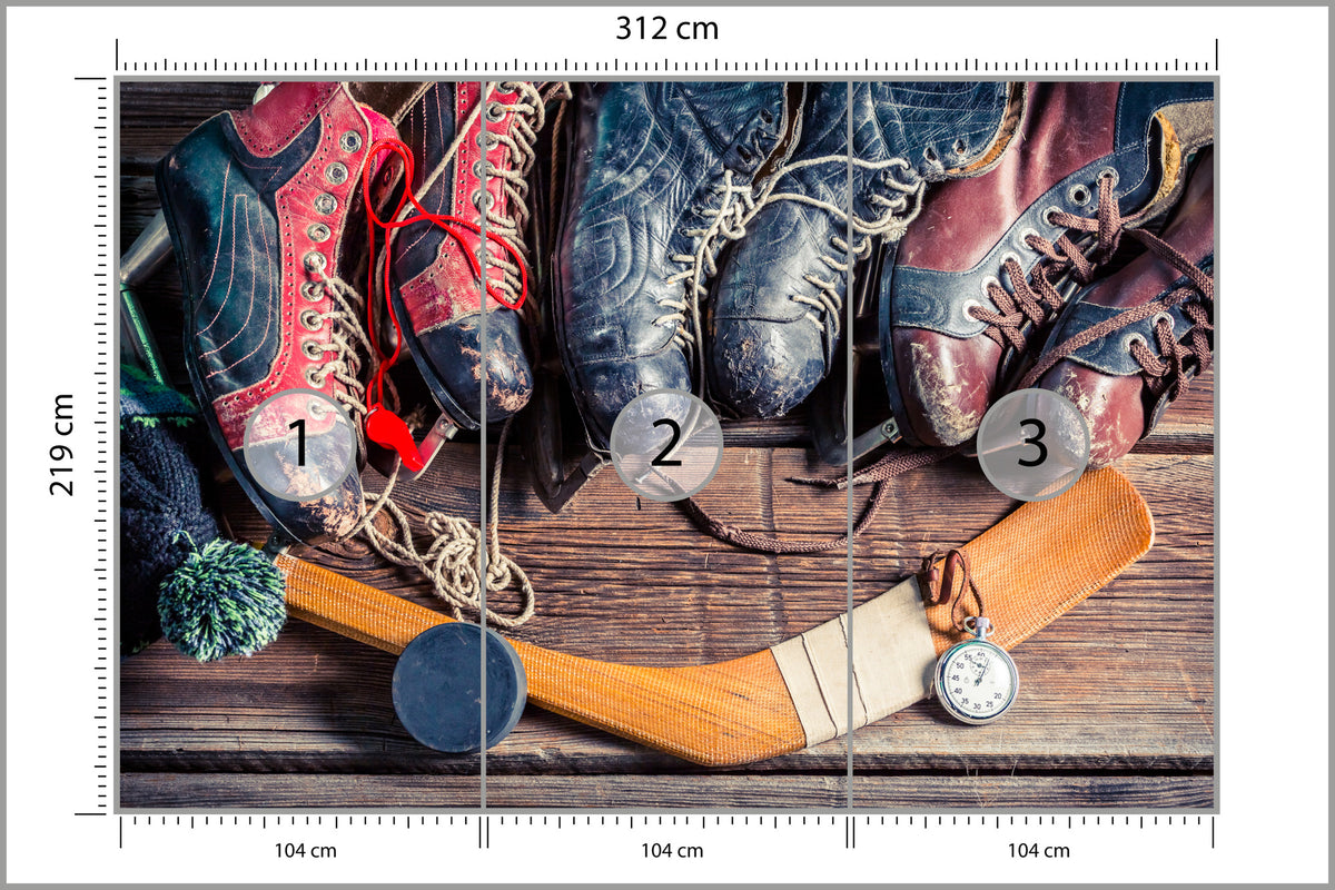 Fototapeta Łyżwy Hokejowe 312 × 219 cm – podgląd kadru
