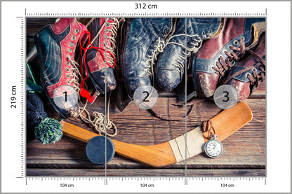 Fototapeta Łyżwy Hokejowe 312 × 219 cm – podgląd kadru