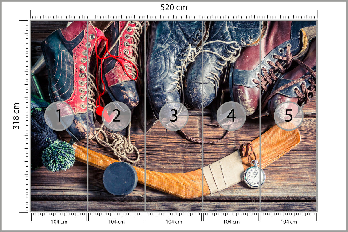 Fototapeta Łyżwy Hokejowe 520 × 318 cm – podgląd kadru