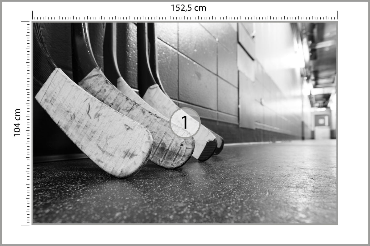 Fototapeta Czarno-Białe Kije Hokejowe 152,5 × 104 cm – podgląd kadru